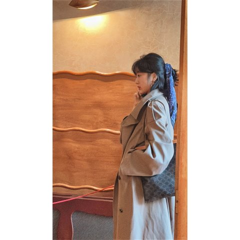 Celine Triomphe Canvas Medium Flat Shopper Bag