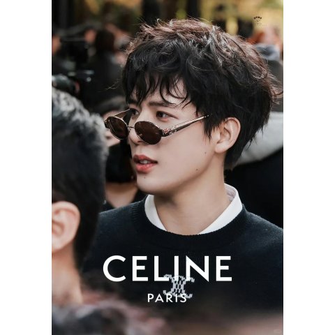 Celine Triomphe Sunglasses