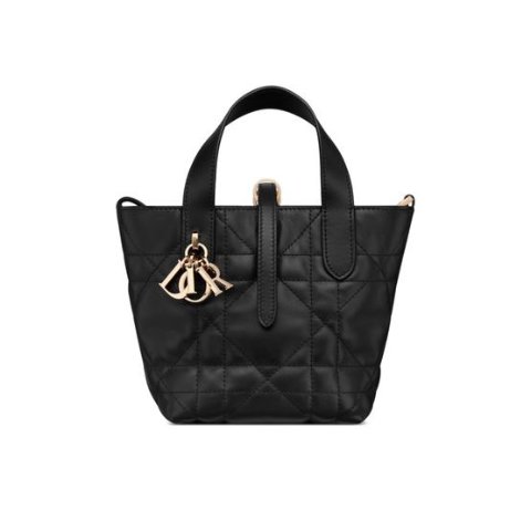 Dior Toujours Vertical Nano Tote Bag