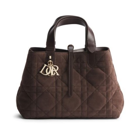 Dior Toujours Medium Bag