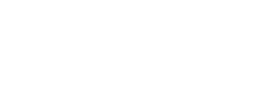 8 Sheep Organics