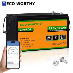 Eco-Worthy LiFePO4 Battery 24V 100AH