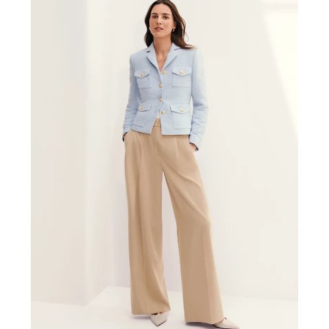 Ann Taylor Pleated Wide-Leg Pant