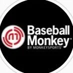 Baseball Monkey