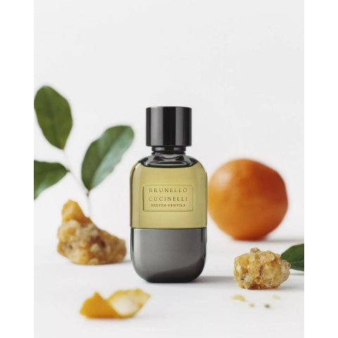 Brunello Cucinelli Brunello Cucinelli Brezza Gentile Parfum Spray 3.4 oz