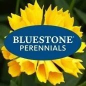 Bluestone Perennials logo