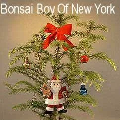 Bonsai Boy of New York logo