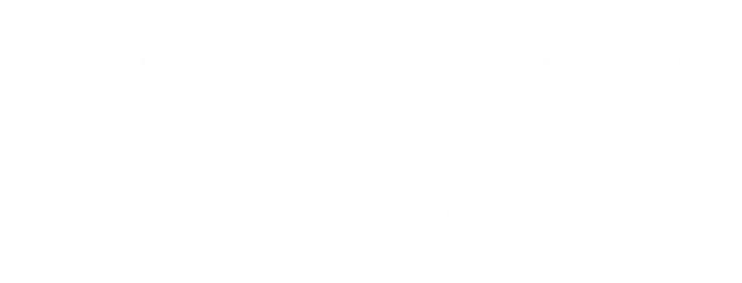 Brother logo