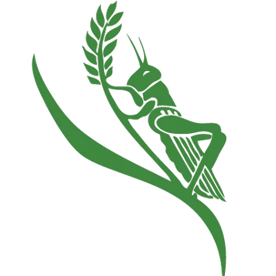 Chelsea Green logo