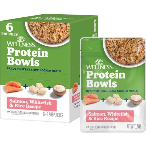 Wellness Wellness Salmon Rice Dog Food 6 Pack