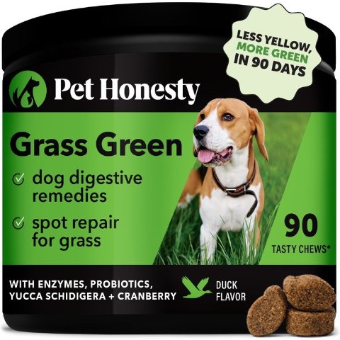 Pet Honesty Grass Green Soft Chews Urine Neutralizer 90 Count