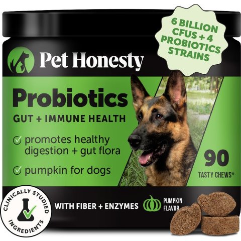 Pet Honesty Probiotics Pumpkin Soft Chews 90 Count