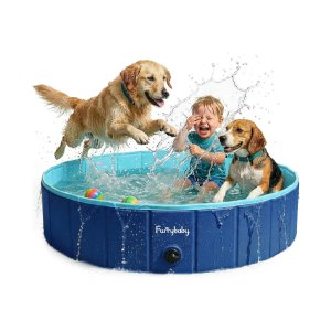 Chewy Portable Dog Pool On Sale