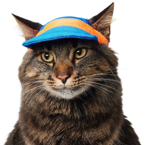 FRISCO Frisco Colorblock Dog & Cat Cap Red XS/S UPF 50+