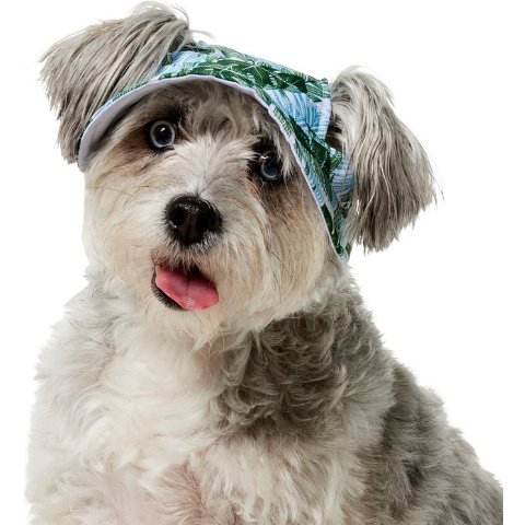 FRISCO Frisco Palm Leaf Pet Hat Medium/Large