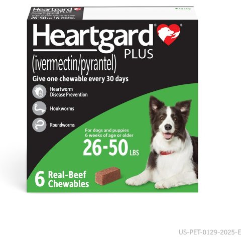 Heartgard Plus Chewable Tablets for Dogs, 26-50 lbs, 6 treatments (Green Box) - Chewy.com