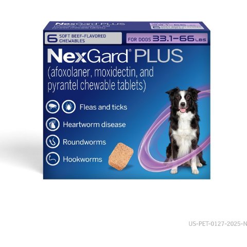 NEXGARD PLUS Chewables for Dogs 33.1-66 lbs Purple Box