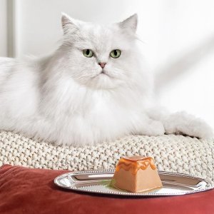 Fancy Feast Cat Food
