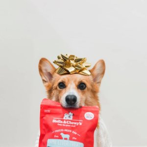 Stella & Chewy's Treats for Dogs