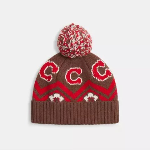 Coach Fair Isle Knit Beanie Print