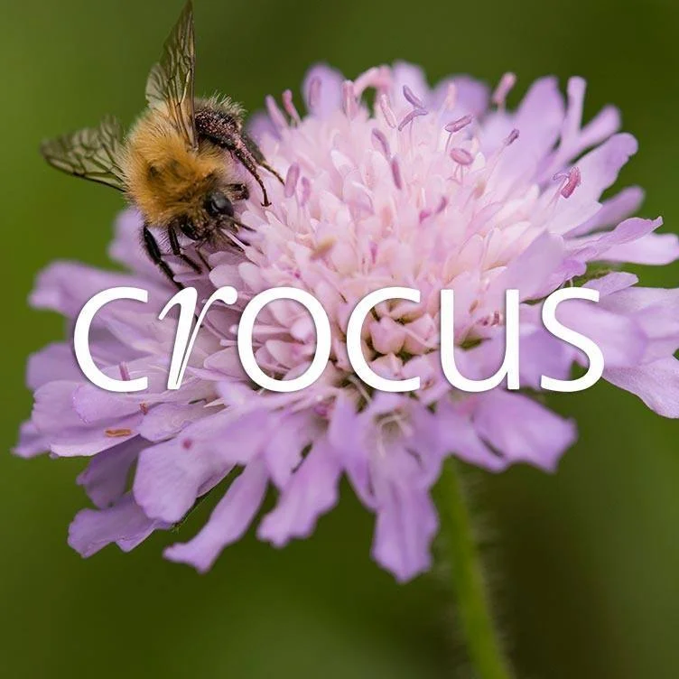 CROCUS UK logo