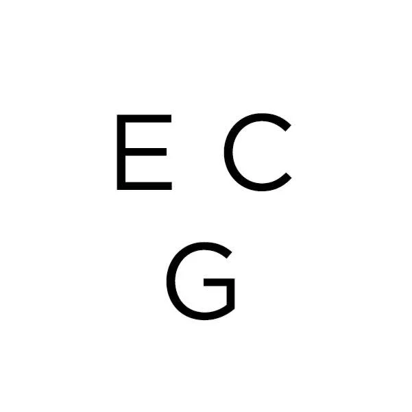 eCarpetGallery.com logo