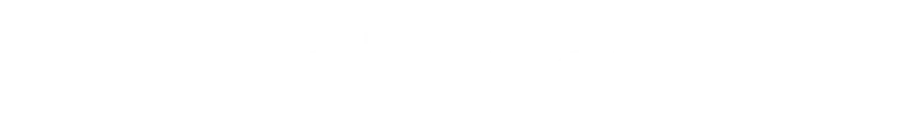 Flight Network