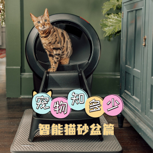 Automatic cat litter box