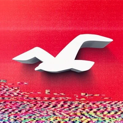 Hollister Co.