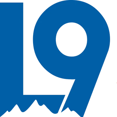 Level Nine Sports CA logo