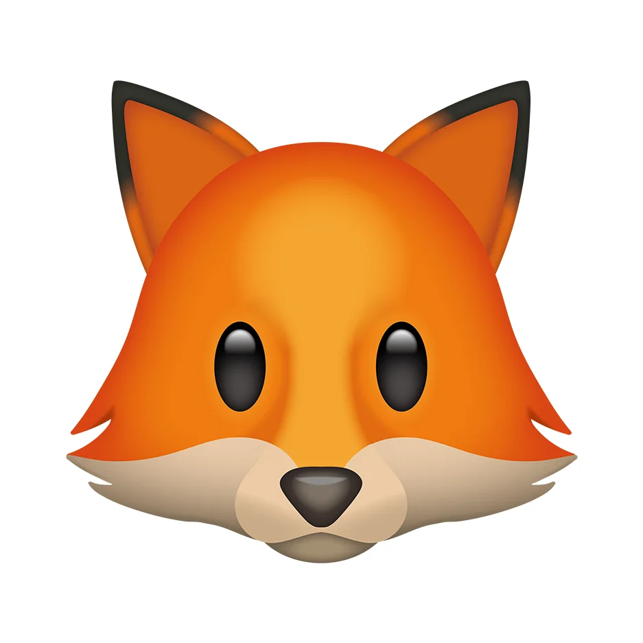 Lily and Fox USA