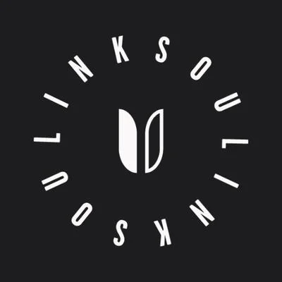 LINKSOUL
