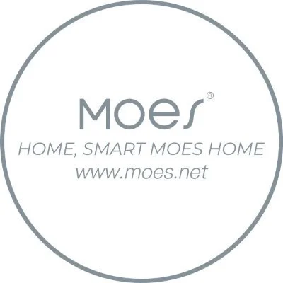 Moes logo