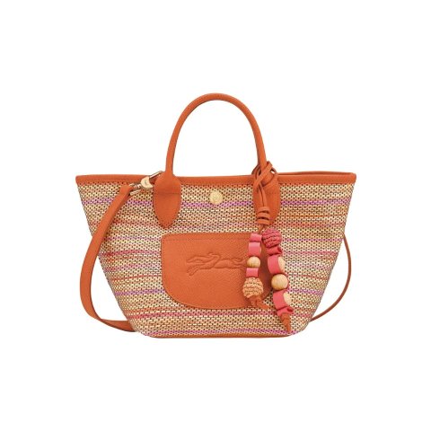 Longchamp Le Pliage Panier Rainbow Extra Small Top Handle Bag