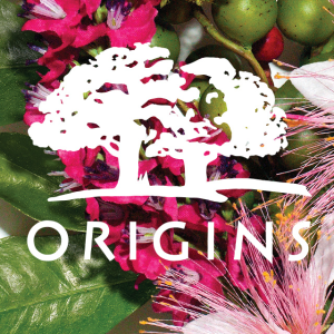 Origins Skincare Hot Products