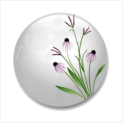 Prairie Moon Nursery