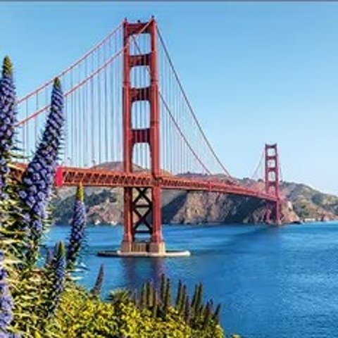 Princess Cruises 7-Day Pacific Wine Country