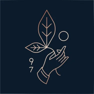 Rishi Tea & Botanicals logo
