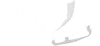 Skates Guru