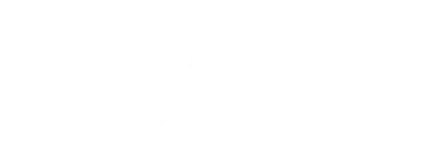 Sonic Electronix