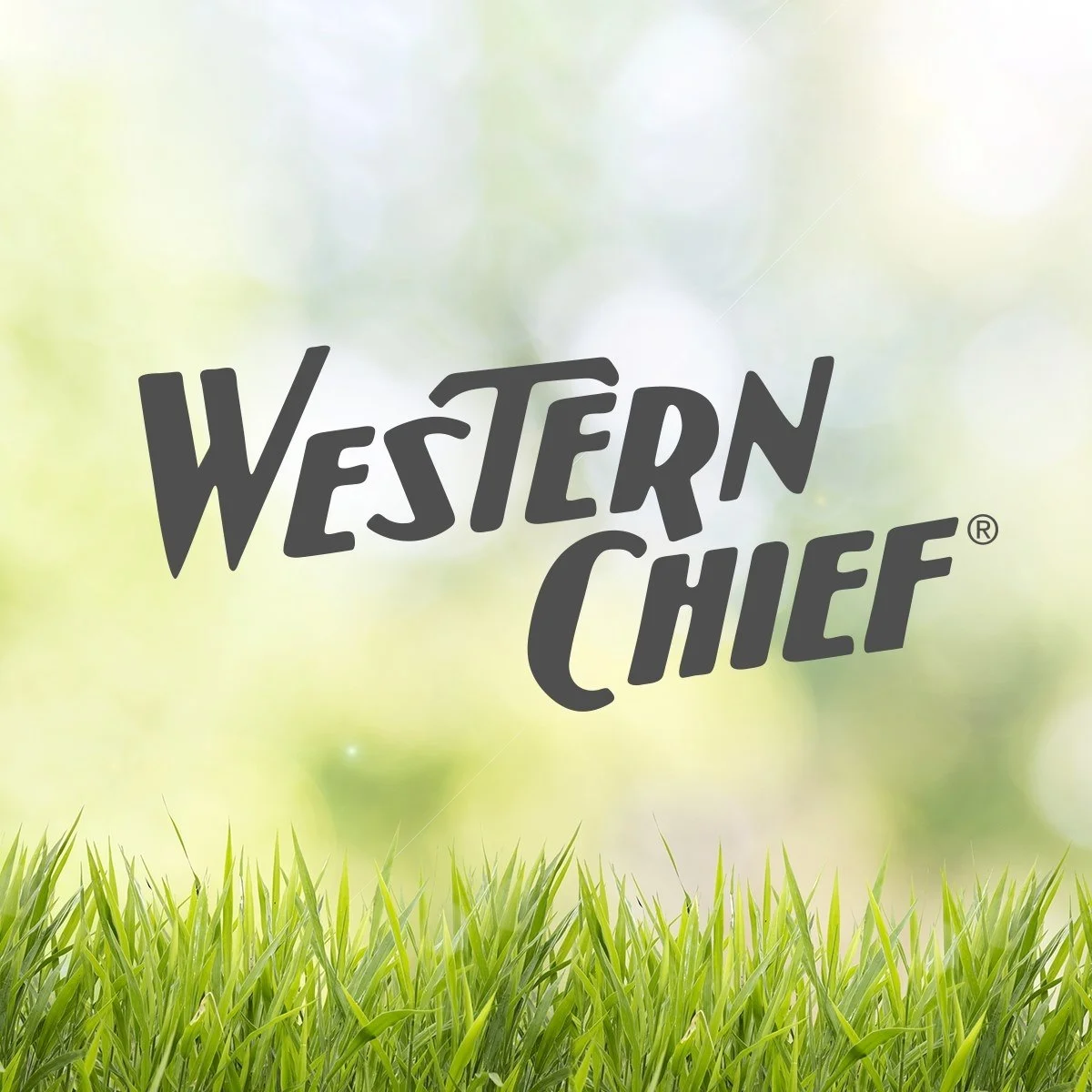 Western Chief