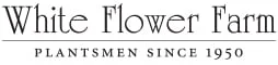 White Flower Farm logo